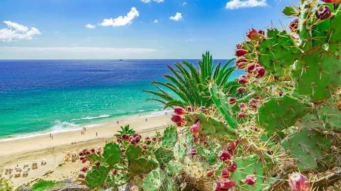 Caleta Relax - Apartamento Fuerteventura Apartment La Oliva Eksteriør billede